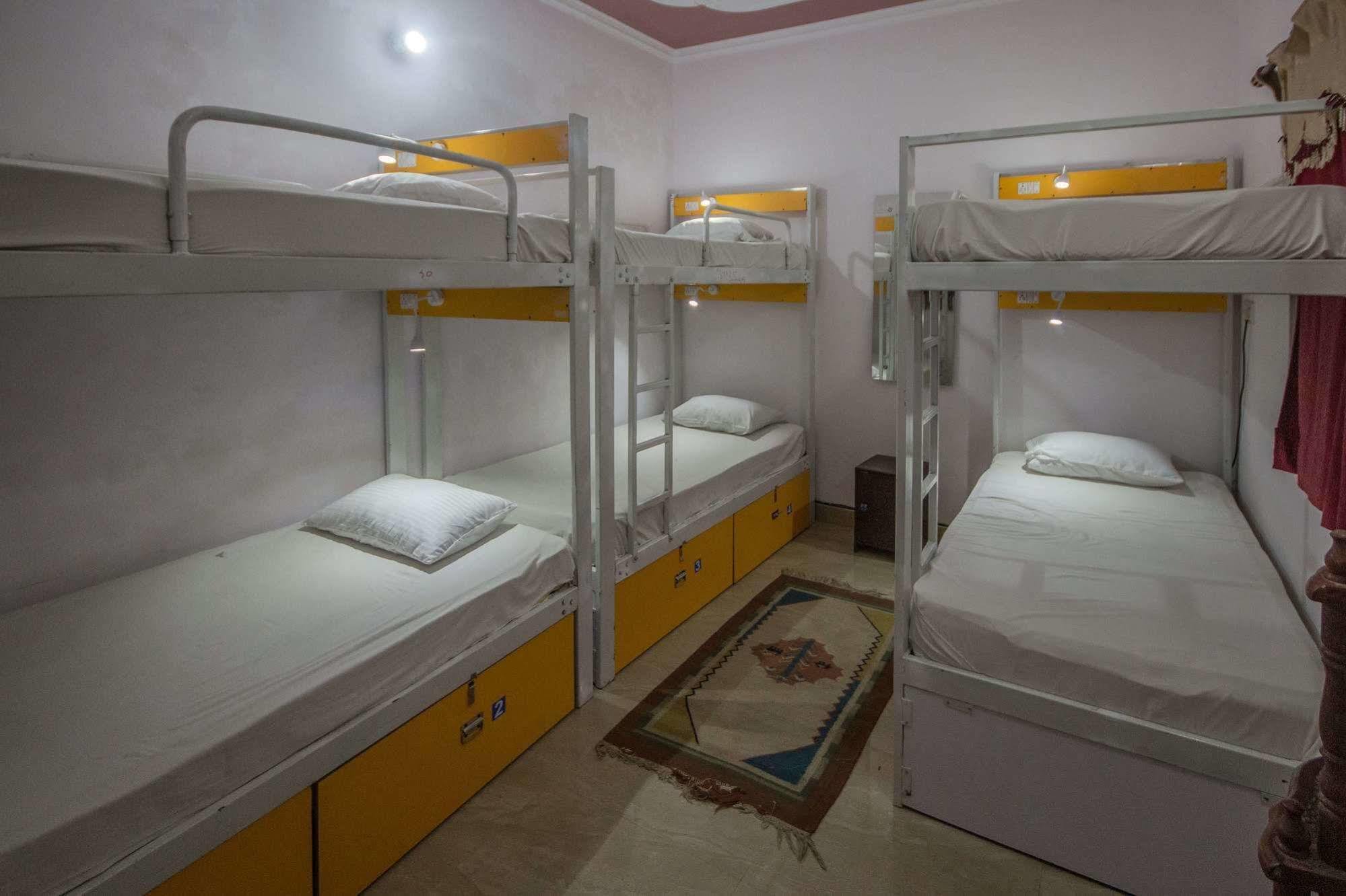 Backpacker Panda Friends - Agra Hostel Агра Екстериор снимка